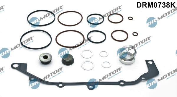 Set garnituri, carcasa distributie DRM0738K Dr.Motor Automotive