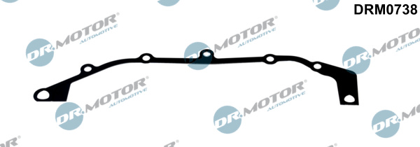 Garnitura capac, distributie DRM0738 Dr.Motor Automotive