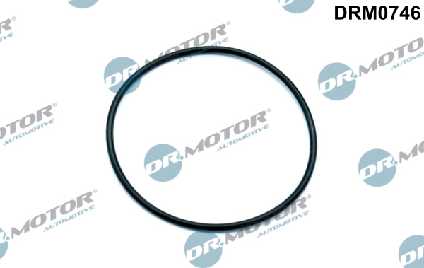 Garnitura, pompa vacuum DRM0746 Dr.Motor Automotive