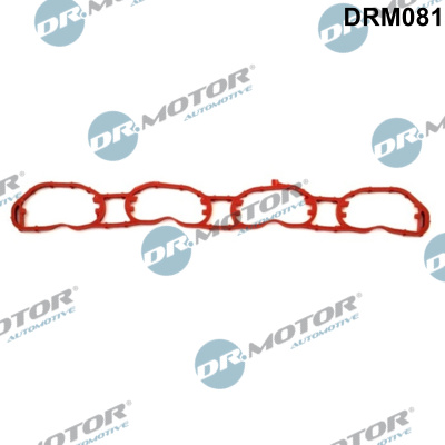 Garnitura, galerie admisie DRM081 Dr.Motor Automotive