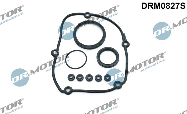 Set garnituri, carcasa distributie DRM0827S Dr.Motor Automotive