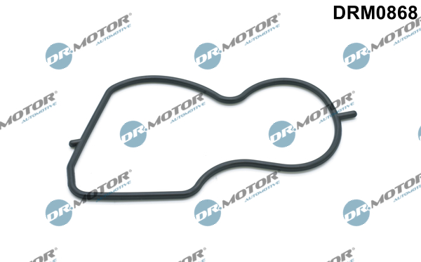 Garnitura, pompa vacuum DRM0868 Dr.Motor Automotive