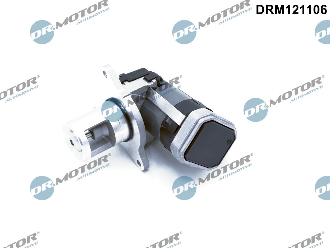 Supapa EGR DRM121106 Dr.Motor Automotive