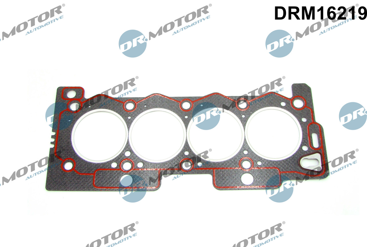 Garnitura, chiulasa DRM16219 Dr.Motor Automotive