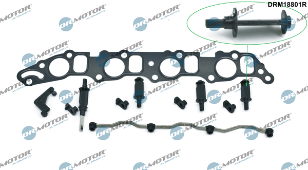 Set pentru reparat, modul țeavă de aspirație DRM18801R Dr.Motor Automotive
