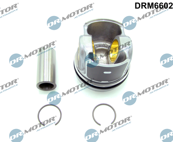 Motor,excluzand accesoriile DRM6602 Dr.Motor Automotive