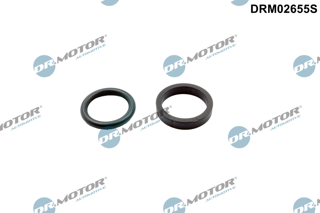 Garnitură de etanșare, reglarea arborelui cu came DRM02655S Dr.Motor Automotive