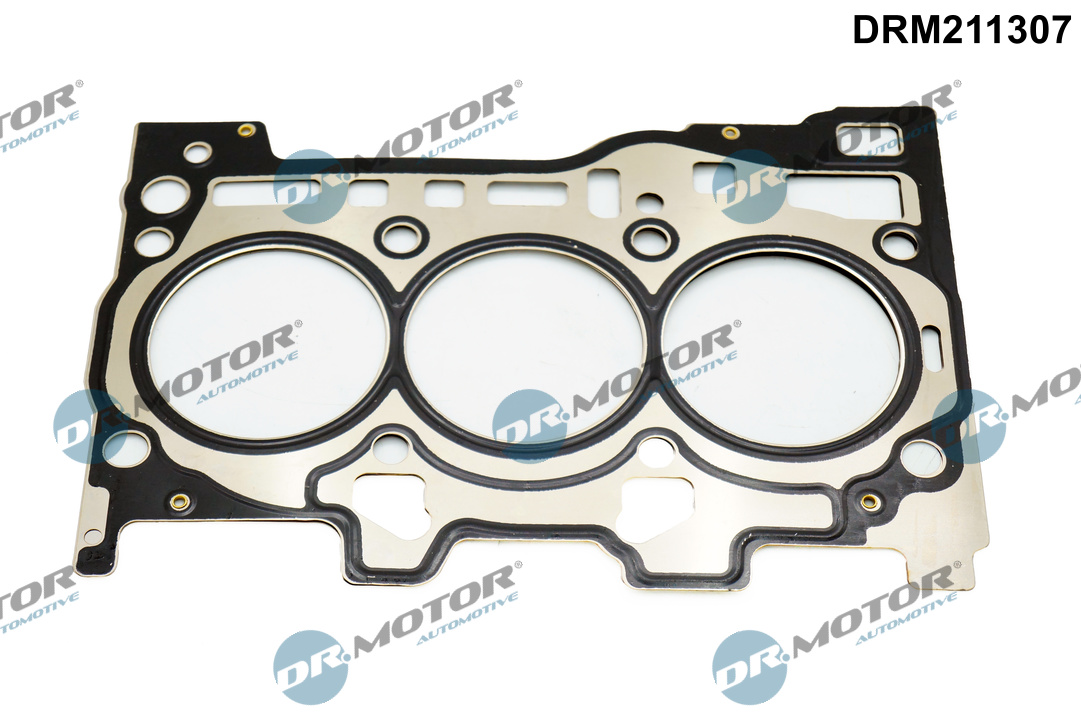 Garnitura, chiulasa DRM211307 Dr.Motor Automotive