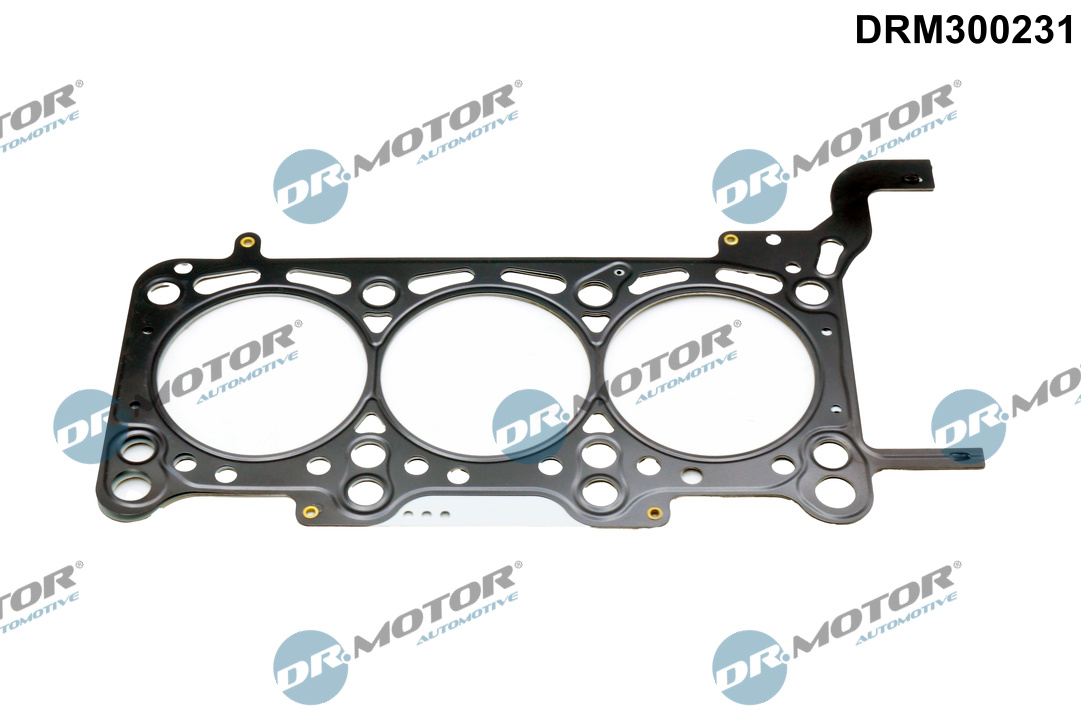 Garnitura, chiulasa DRM300231 Dr.Motor Automotive