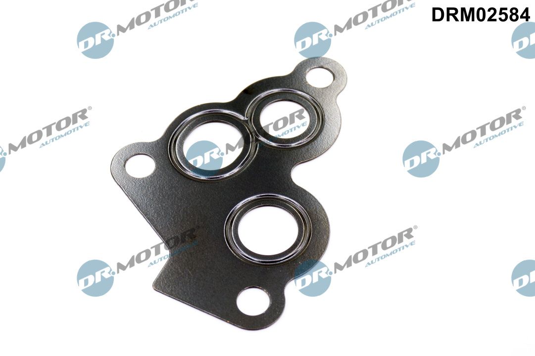 Garnituri, carcasa filtru ulei DRM02584 Dr.Motor Automotive