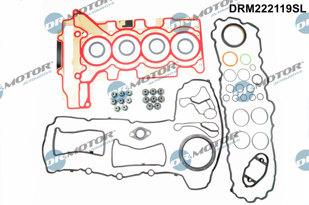 Set garnituri complet, motor DRM222119SL Dr.Motor Automotive