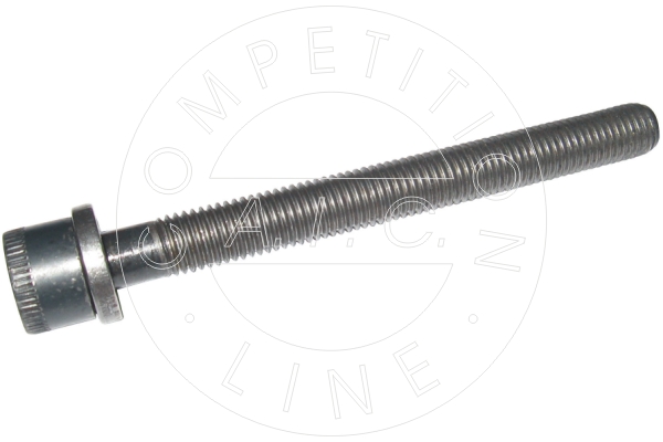 surub chiulasa 51227 AIC