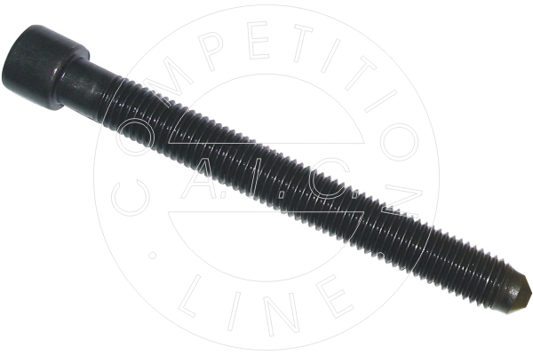 surub chiulasa 51229 AIC