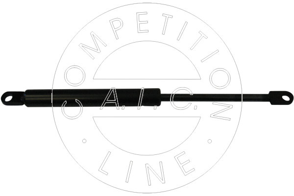 Amortizor portbagaj 53825 AIC