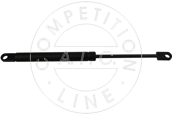 Amortizor capota 53829 AIC