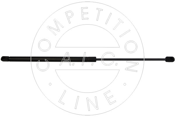 Amortizor portbagaj 53840 AIC