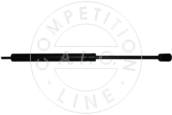 Amortizor portbagaj 53841 AIC