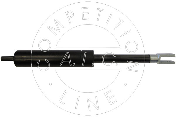 Amortizor portbagaj 53842 AIC