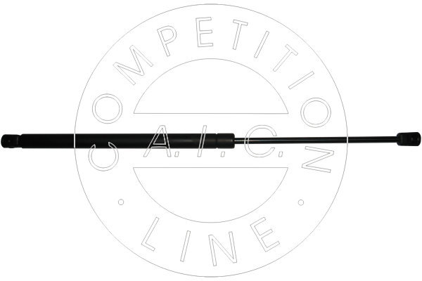 Amortizor portbagaj 53851 AIC