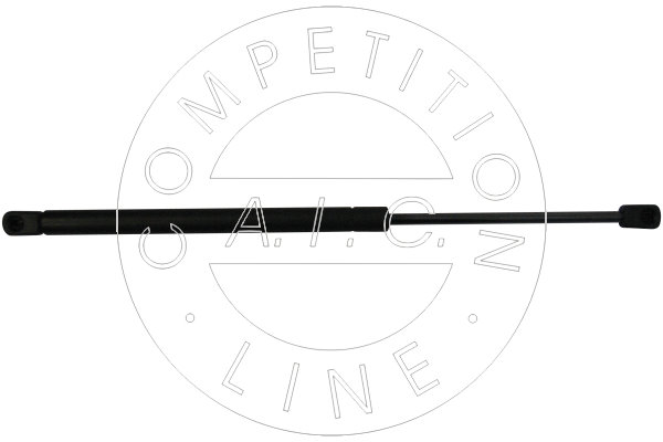 Amortizor portbagaj 53857 AIC