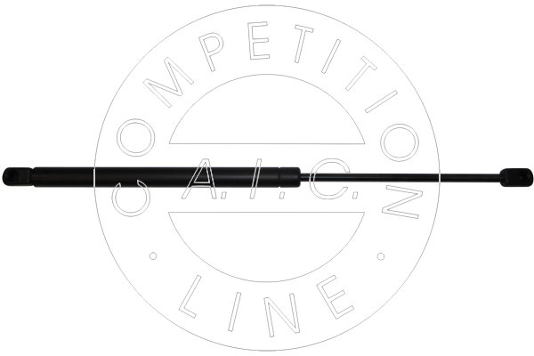 Amortizor portbagaj 53860 AIC