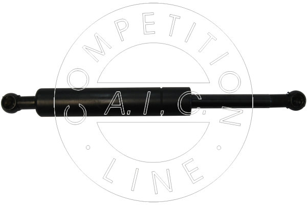 Amortizor portbagaj 53876 AIC