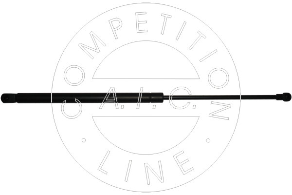 Amortizor portbagaj 53880 AIC