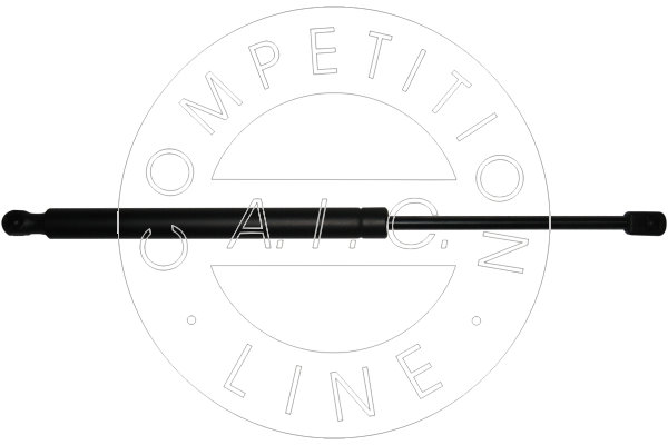 Amortizor portbagaj 53881 AIC