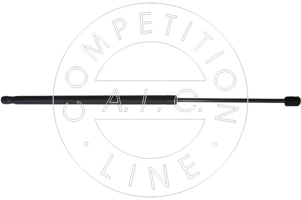 Amortizor portbagaj 54010 AIC