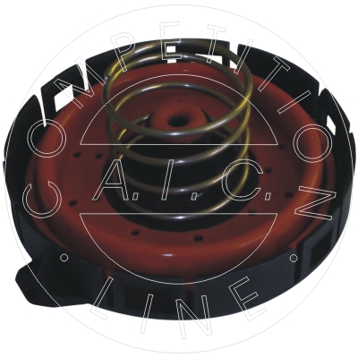 ventil, aerisire carter 55625 AIC