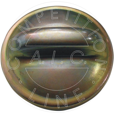 buson,rezervor de combustibil 56032 AIC