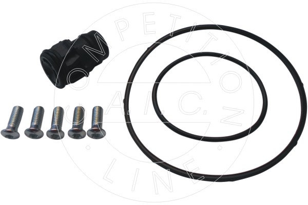 Set reparatie, pompa vacuum (Siste frana) 56249 AIC