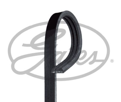 Curea transmisie cu caneluri 3PK0895SF GATES-BR