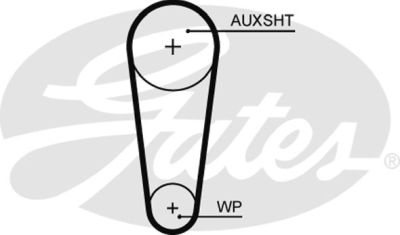 Curea de distributie 5682XS GATES-BR