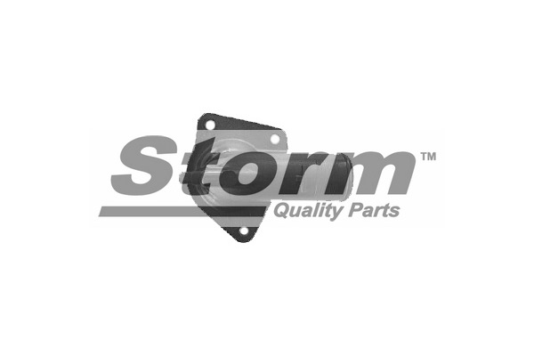 Flansa lichid racire F3556 Storm