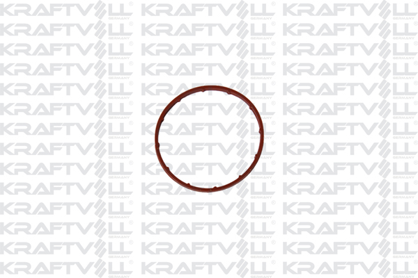 Garnitura, pompa vacuum 10060360 KRAFTVOLL GERMANY