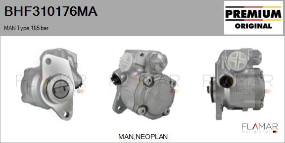 Pompa hidraulica, sistem de directie BHF310176MA FLAMAR