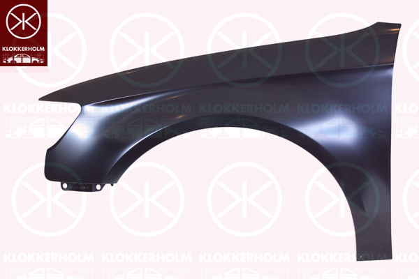 Aripa 0027311A1 KLOKKERHOLM