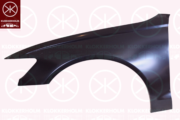 Aripa 0032311 KLOKKERHOLM