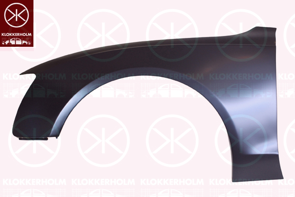 Aripa 0038311 KLOKKERHOLM