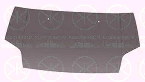 Capota motor 2507281 KLOKKERHOLM