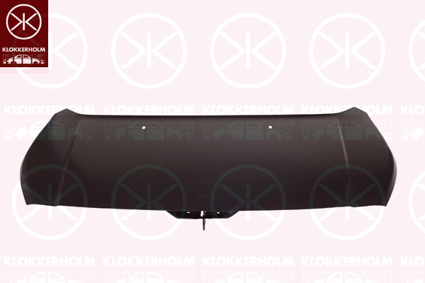 Capota motor 2508280 KLOKKERHOLM