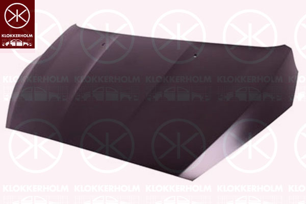 Capota motor 2536281A1 KLOKKERHOLM