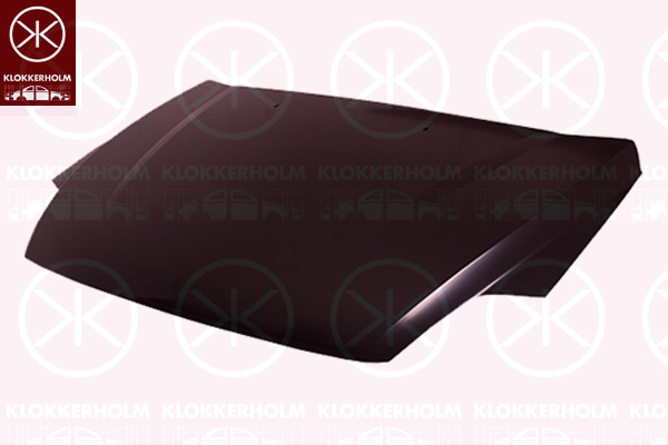 Capota motor 2556281 KLOKKERHOLM