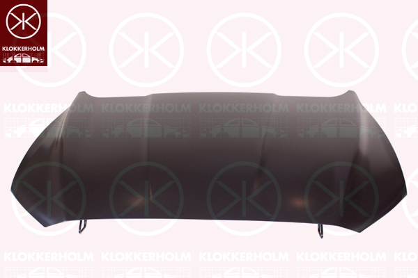 Capota motor 2558280 KLOKKERHOLM