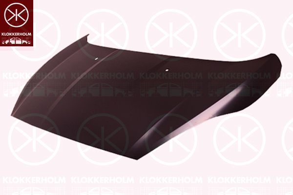 Capota motor 2565282A1 KLOKKERHOLM
