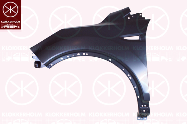 Aripa 2579311 KLOKKERHOLM