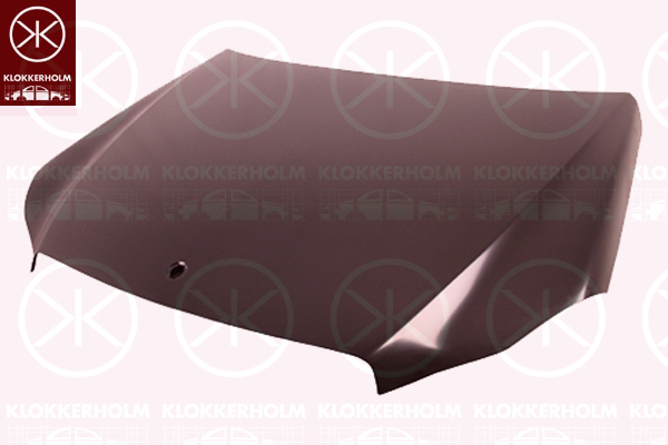 Capota motor 3529283 KLOKKERHOLM