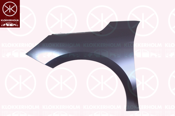 Aripa 5028311A1 KLOKKERHOLM
