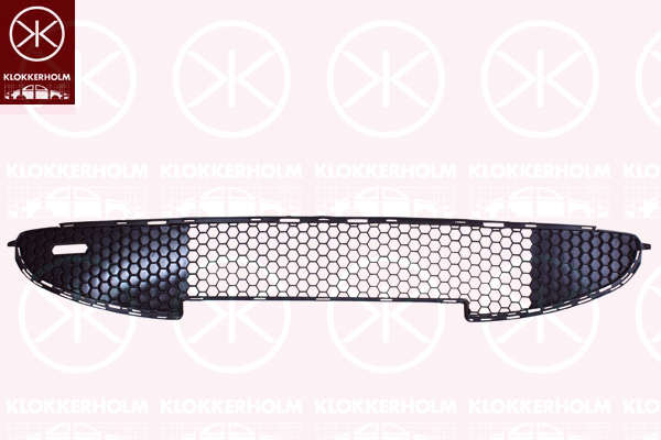 Grila ventilatie, bara protectie 5507998 KLOKKERHOLM